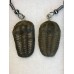 Naušnice z trilobita